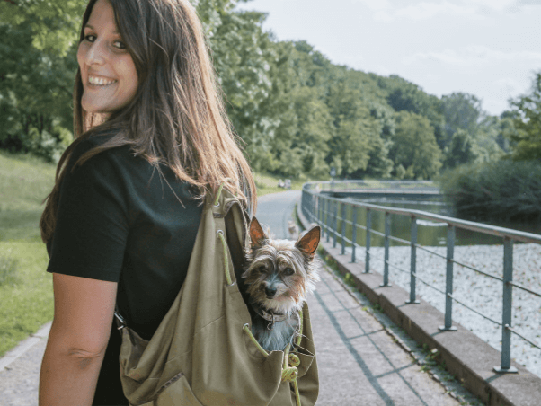 Kristina vom Gassi-Service Entdeckerpfoten trägt während einem Dogwalk einen kleinen Hund im Rucksack